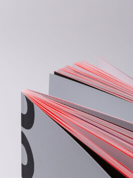 Yolanda Zurfluh pulpo Imagebroschüre, Portfolio Yolanda Zurfluh