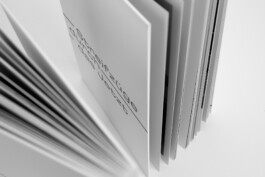 Yolanda Zurfluh Streetfotogarafie, Yolanda Zurfluh